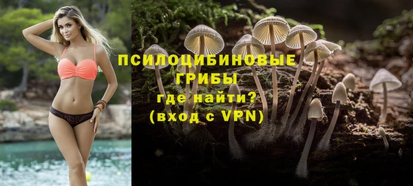 эйфоретик Баксан