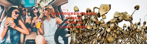 прущие крисы Приозерск