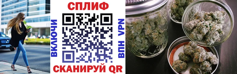 МАРИХУАНА семена  Новотитаровская 